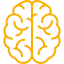brain